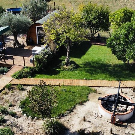 منزل الضيف Corredoura  في Glamping Turquesa, Feel And Relax In A Wood House المظهر الخارجي الصورة