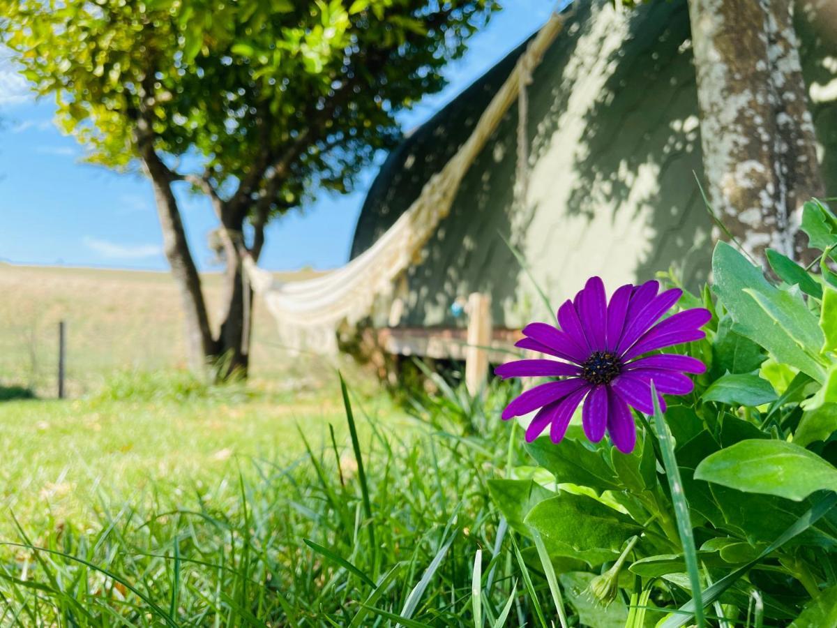 منزل الضيف Corredoura  في Glamping Turquesa, Feel And Relax In A Wood House المظهر الخارجي الصورة