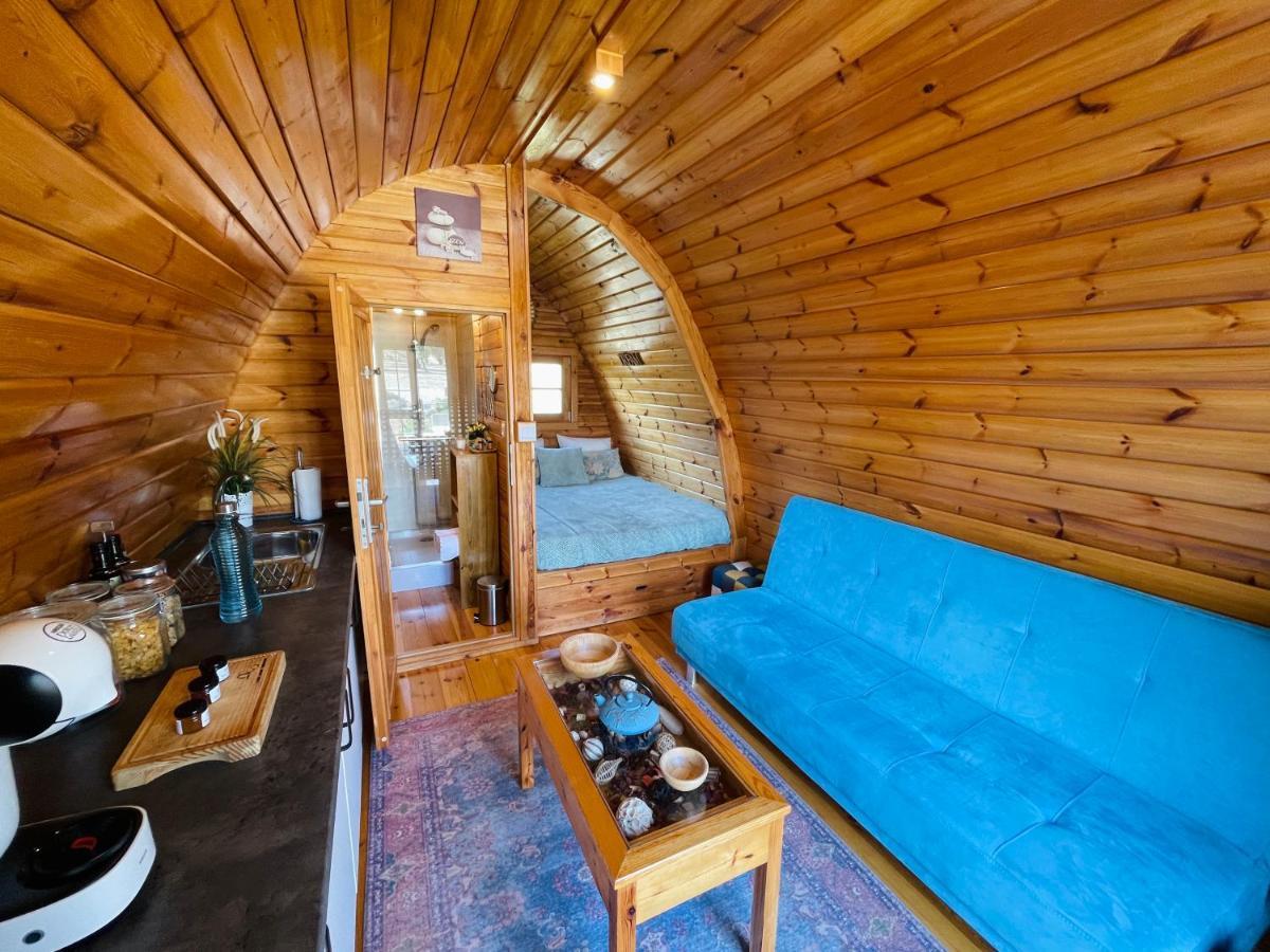 منزل الضيف Corredoura  في Glamping Turquesa, Feel And Relax In A Wood House المظهر الخارجي الصورة